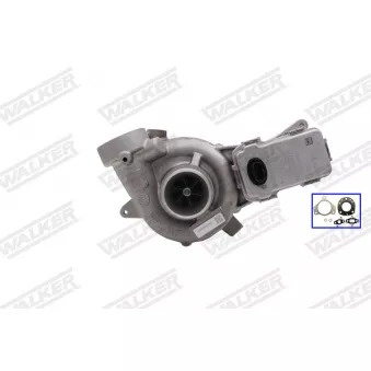 Turbocompresseur, suralimentation WALKER