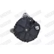 Alternateur WALKER WAL01595 - Visuel 3
