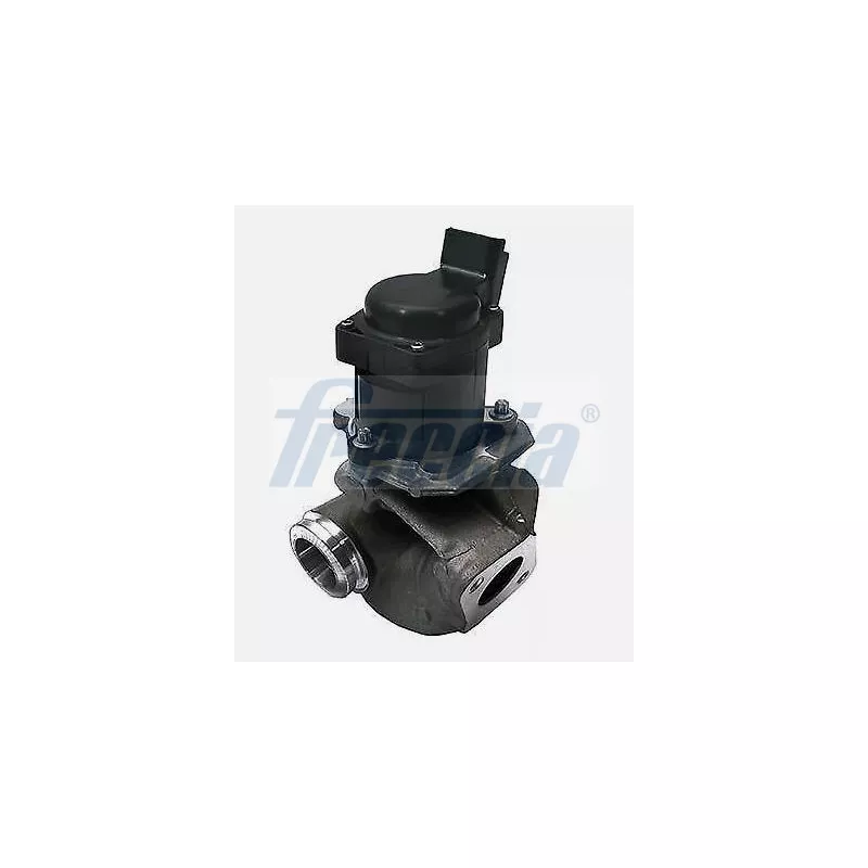 Vanne EGR FRECCIA EGR12-222