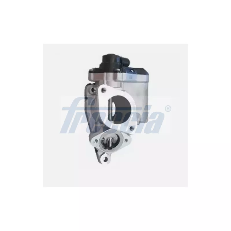 Vanne EGR FRECCIA EGR12-223