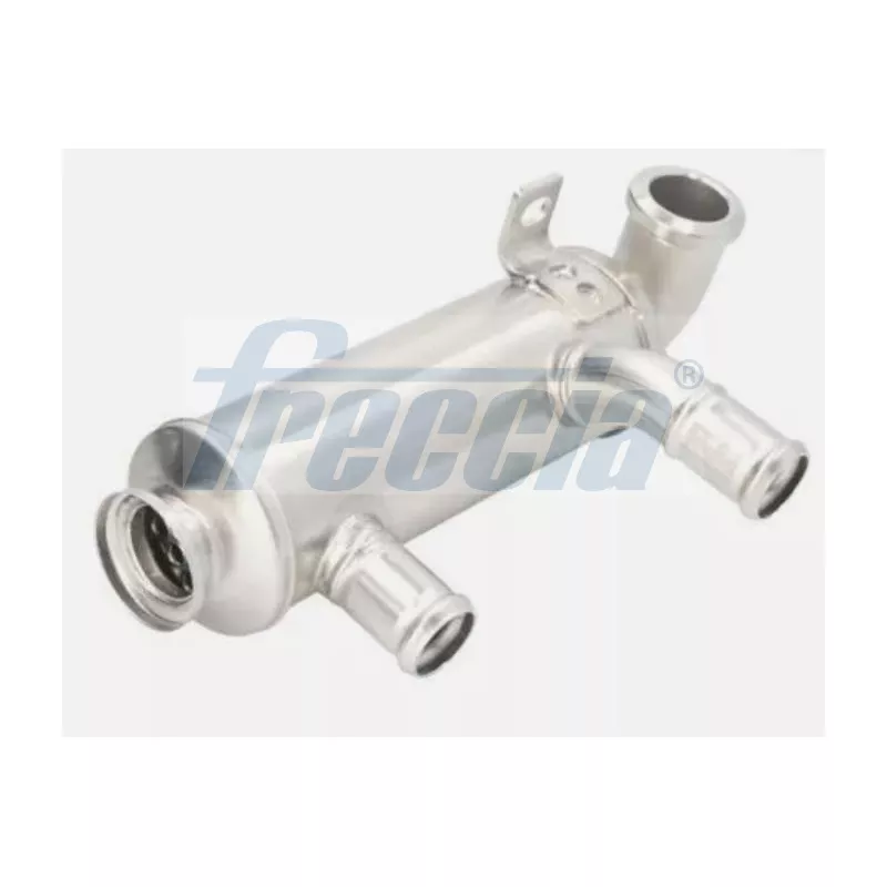 Vanne EGR FRECCIA EGR12-229