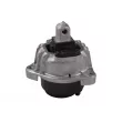 Support moteur TEDGUM TED11858 - Visuel 1