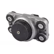 Support moteur TEDGUM TED25296 - Visuel 2