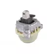 Support moteur TEDGUM TED43714 - Visuel 1