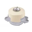 Support moteur TEDGUM TED45256 - Visuel 1