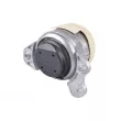 Support moteur TEDGUM TED45256 - Visuel 2