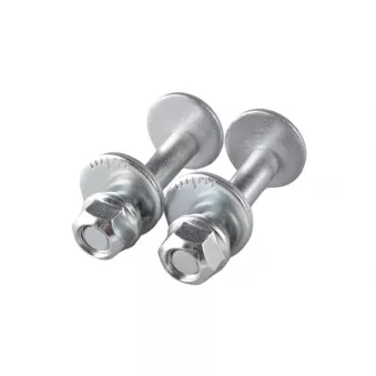 Vis de correction du carrossage TEDGUM TED50469