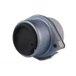 Support moteur TEDGUM TED59015 - Visuel 2