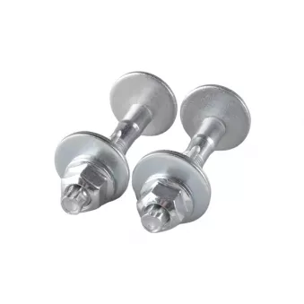 Vis de correction du carrossage TEDGUM TED59621