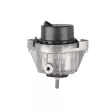 Support moteur TEDGUM TED60795 - Visuel 2