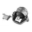 Support moteur TEDGUM TED66421 - Visuel 2