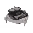 Support moteur TEDGUM TED88043 - Visuel 1