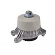 Support moteur TEDGUM TED94878 - Visuel 1