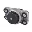 Support moteur TEDGUM TED96150 - Visuel 2