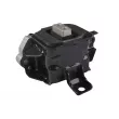 Support moteur TEDGUM TED98772 - Visuel 1