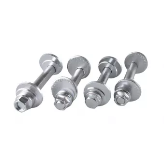 Vis de correction du carrossage TEDGUM