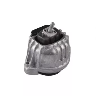 Support moteur TEDGUM 00088490