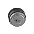 Support moteur avant droit TEDGUM 00089478 - Visuel 3