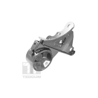 Support moteur TEDGUM 00131530