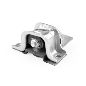 Suspension, boîte de vitesse manuelle TEDGUM 00219302