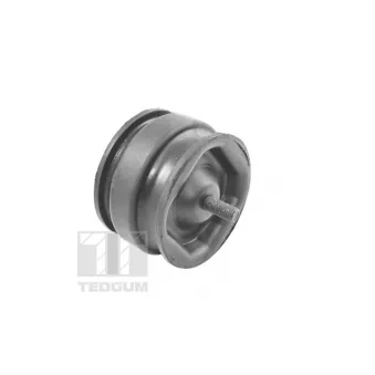 Support moteur TEDGUM 00221175