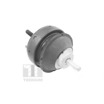 Support moteur avant gauche TEDGUM 00221186