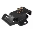 Support moteur avant droit TEDGUM 00300649 - Visuel 2