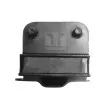 Support moteur TEDGUM 00391655 - Visuel 2