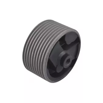 Support moteur avant gauche TEDGUM 00463831