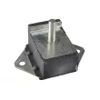 Support moteur TEDGUM 00511384 - Visuel 1