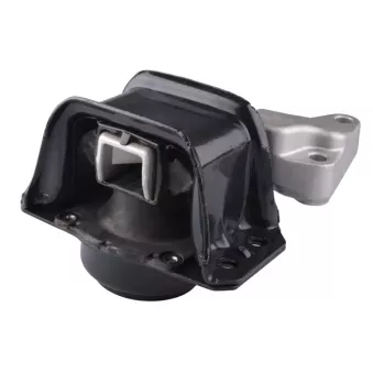 Support moteur avant droit TEDGUM 00511754