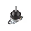Support moteur avant droit TEDGUM 00514176 - Visuel 1