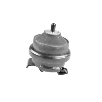 Support moteur TEDGUM 00722315