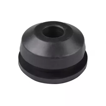 Support moteur avant droit TEDGUM 00728859
