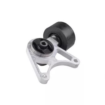 Suspension, Différentiel TEDGUM 01164617