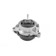 Support moteur avant gauche TEDGUM TED11139 - Visuel 2