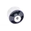 Support moteur TEDGUM TED23091 - Visuel 1