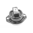 Support moteur avant droit TEDGUM TED37804 - Visuel 1
