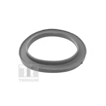 Patin de ressort TEDGUM TED46443
