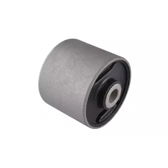 Suspension, Différentiel TEDGUM