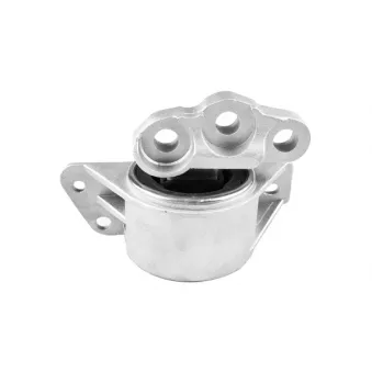Support moteur avant droit TEDGUM
