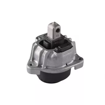 Support moteur TEDGUM TED77889