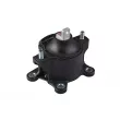 Support moteur TEDGUM TED99372 - Visuel 2