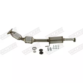 Catalyseur WALKER