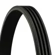 Courroie trapézoïdale à nervures CONTITECH 4PK1022 ELAST - Visuel 3