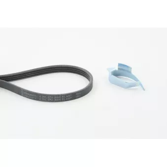 Jeu de courroies trapézoïdales à nervures CONTITECH 4PK874 ELAST T1
