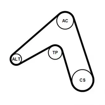 Jeu de courroies trapézoïdales à nervures CONTITECH 5PK1173K1