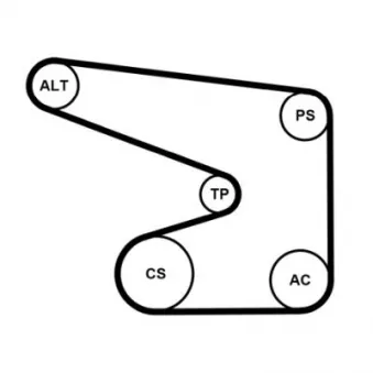 Jeu de courroies trapézoïdales à nervures CONTITECH 5PK1370K1