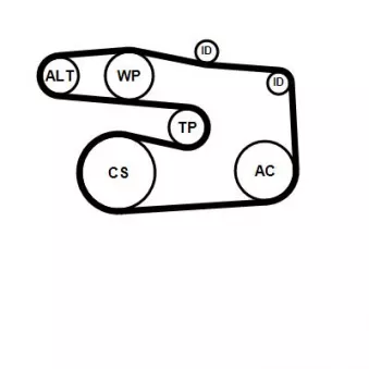 Jeu de courroies trapézoïdales à nervures CONTITECH
