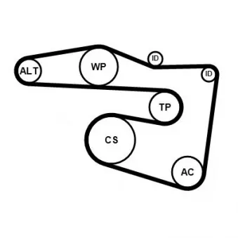 Jeu de courroies trapézoïdales à nervures CONTITECH 5PK1815K2